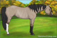 Horse Color:Liver Red Dun Rabicano 