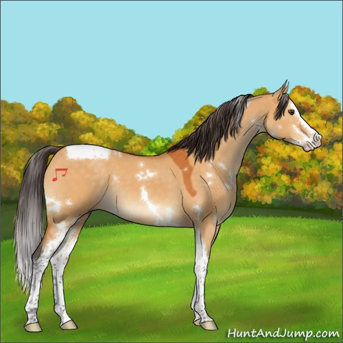 Horse Color:White Spotted Buckskin Dun Splash Tobiano 