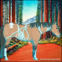 Horse Color:Thunderstruck Bay Dun Appaloosa 