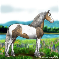 Horse Color:Silver Smoky Black Splash Tobiano Appaloosa 