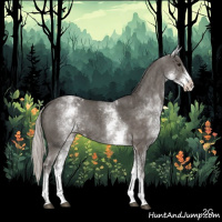 Horse Color:White Spotted Silver Black Tobiano Rabicano 