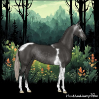 Horse Color:Gray Silver Black Tobiano Rabicano 