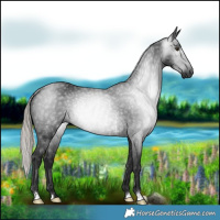 Horse Color:Gray Silver Brown Rabicano 