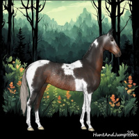 Horse Color:Gray Silver Brown Tobiano Rabicano 