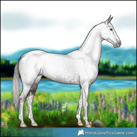 Horse Color:Gray Liver Chestnut Tobiano Rabicano