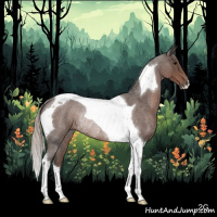 Horse Color:Silver Blue Roan Tobiano Rabicano 