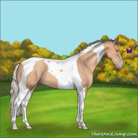Horse Color:Silver Classic Champagne Roan Tobiano 