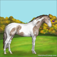 Horse Color:White Spotted Classic Champagne Tobiano 