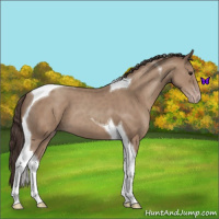 Horse Color:Classic Champagne Tobiano 
