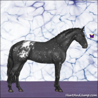 Horse Color:Blue Roan Blanket 