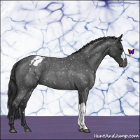 Horse Color:Blue Roan Snowflake Varnish 