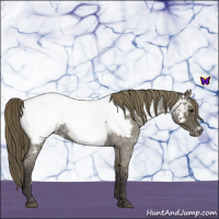 Horse Color:Smoky Blue Roan Near Fewspot 