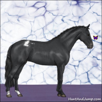 Horse Color:Blue Roan Snowcap 