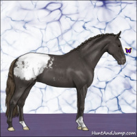 Horse Color:Smoky Blue Roan Snowcap 