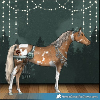 Horse Color:White Spotted Chocolate Palomino Tobiano Rabicano 