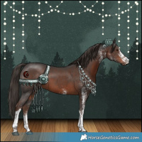 Horse Color:White Spotted Liver Chestnut Tobiano 