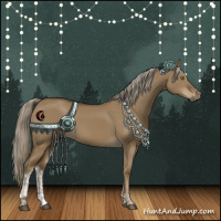 Horse Color:Chocolate Palomino Dun Tobiano Rabicano 