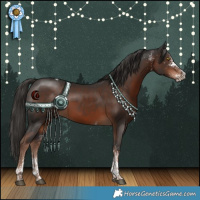 Horse Color:White Spotted Liver Chestnut Tobiano 