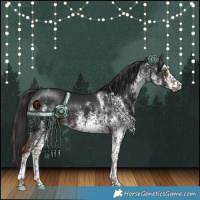 Horse Color:White Spotted Liver Chestnut Rabicano 