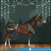 Horse Color:White Spotted Liver Chestnut Tobiano 