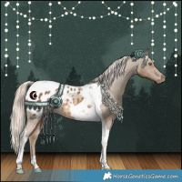 Horse Color:Chocolate Palomino Tobiano Blanket Rabicano 