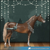 Horse Color:White Spotted Chocolate Palomino Tobiano 