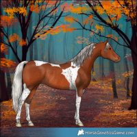 Horse Color:Silver Brown Tobiano Rabicano 