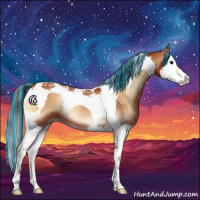 Horse Color:Painted Bay Onyx Splash Tobiano 