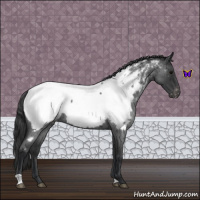 Horse Color:Blue Roan Near Fewspot 