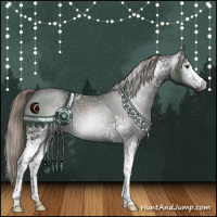 Horse Color:Gray White Spotted Chocolate Palomino Roan Rabicano 
