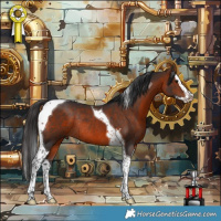 Horse Color:Brown Splash Tobiano Rabicano