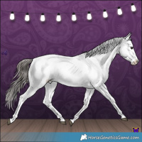 Horse Color:Blue Roan Snowflake Varnish