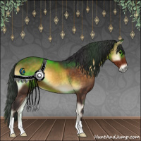 Horse Color:Buckskin Onyx 