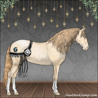 Horse Color:Buckskin Pearl Appaloosa 