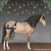 Horse Color:Amber Champagne 