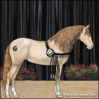 Horse Color:Smoky Black Pearl 