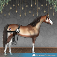 Horse Color:Bay Onyx 