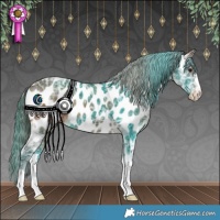 Horse Color:Brown Ice Appaloosa 