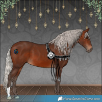 Horse Color:Silver Brown 
