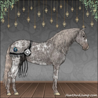 Horse Color:Silver Black Ice 