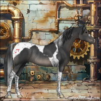 Horse Color:Black Tobiano Rabicano 