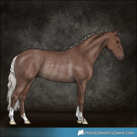 Horse Color:Silver Black Rabicano 