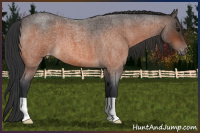 Horse Color:Bay Roan Varnish 