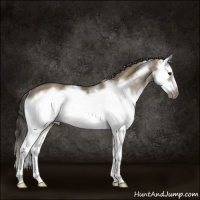 Horse Color:Smoky Grullo Sabino Splash Frame Rabicano 