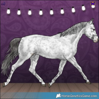 Horse Color:Blue Roan Snowflake Varnish 