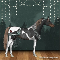 Horse Color:Liver Chestnut Tobiano Rabicano 