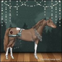 Horse Color:Liver Red Dun Tobiano 