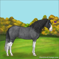 Horse Color:Blue Roan Splash Varnish
