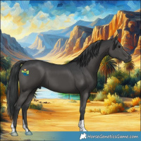 Horse Color:Black 