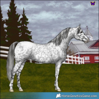 Horse Color:Blue Roan Snowflake Varnish